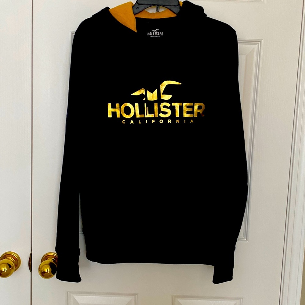 Hollister hoodie NWOT